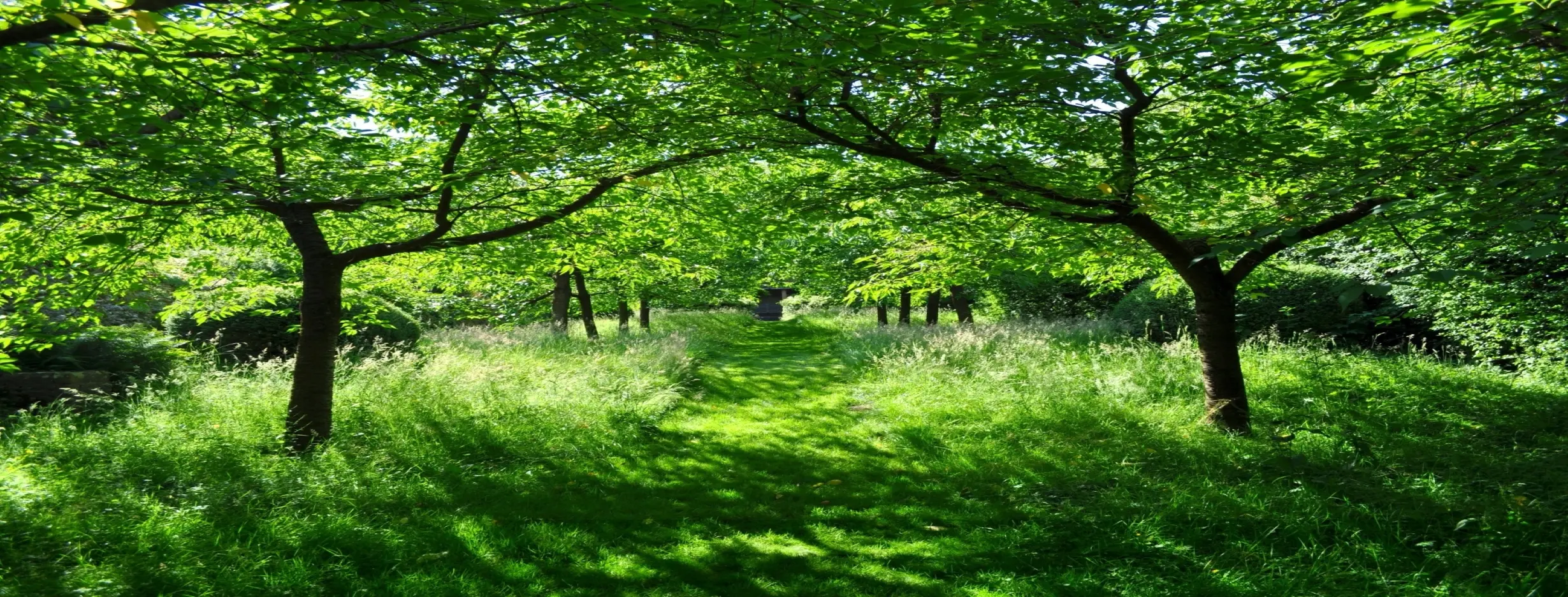 Image for Stunning Natural Beauty
